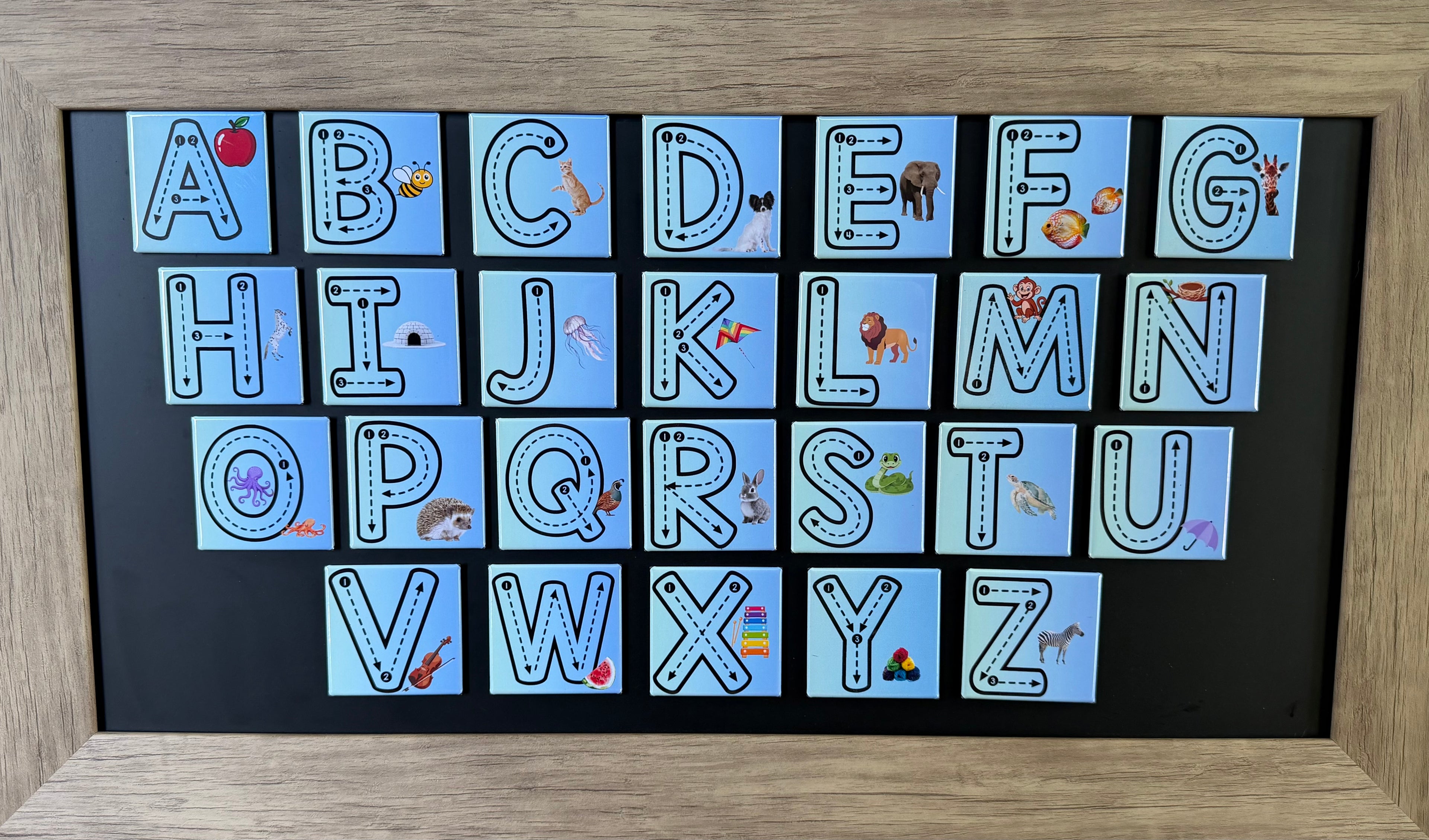 Alphabet Magnet Set